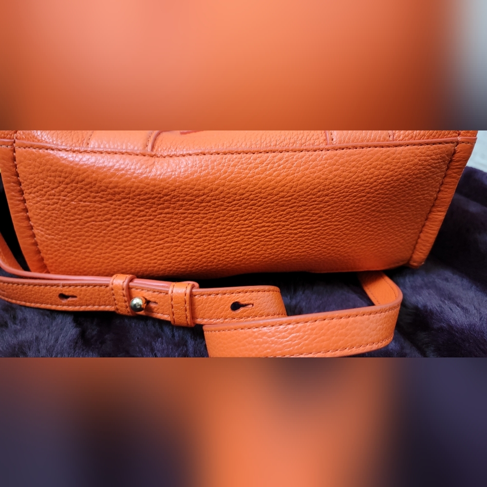 The tote bag